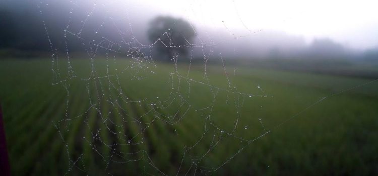 Beleuchtung planen: So wird jeder Raum wohnlich Beleuchtung planen: So wird jeder Raum wohnlich