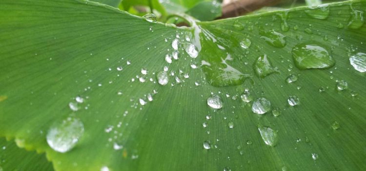 Warme Beleuchtung: Gemuetliche Raeume planen